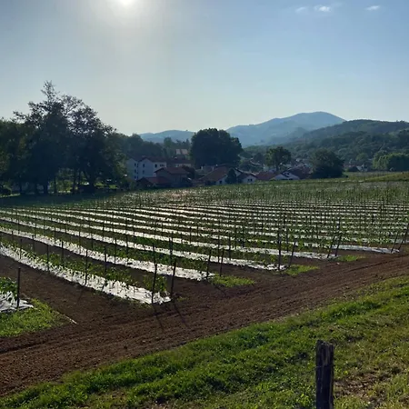 アパート A La Colline De La Bergerie カンボ・レ・バン