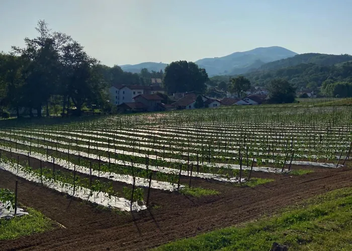 شقة A La Colline De La Bergerie كامبو-لي-بان
